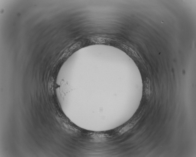 X0000086300332200704271833