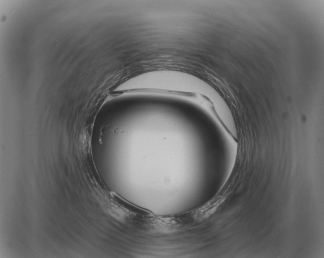 X0000086300333200704271833