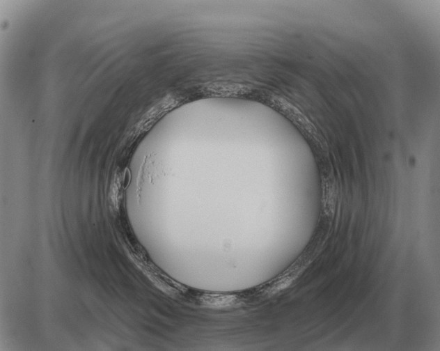 X0000086300334200704271833