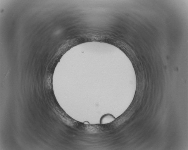 X0000086300336200704271833