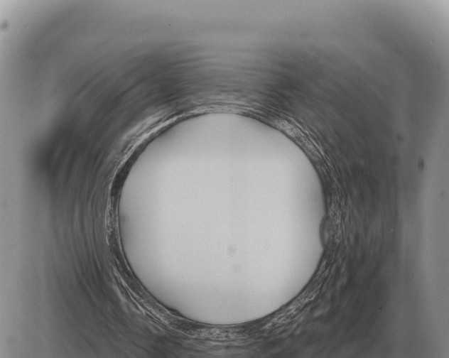 X0000086300338200704271832