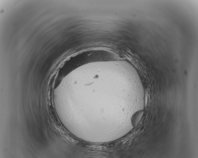 X0000086300339200704271832