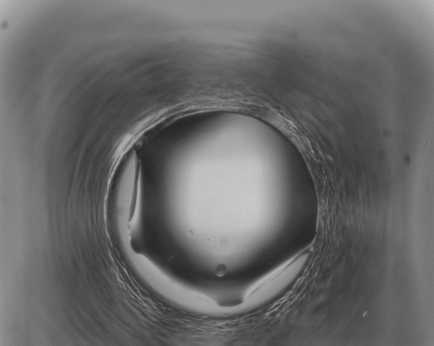 X0000086300340200704271832