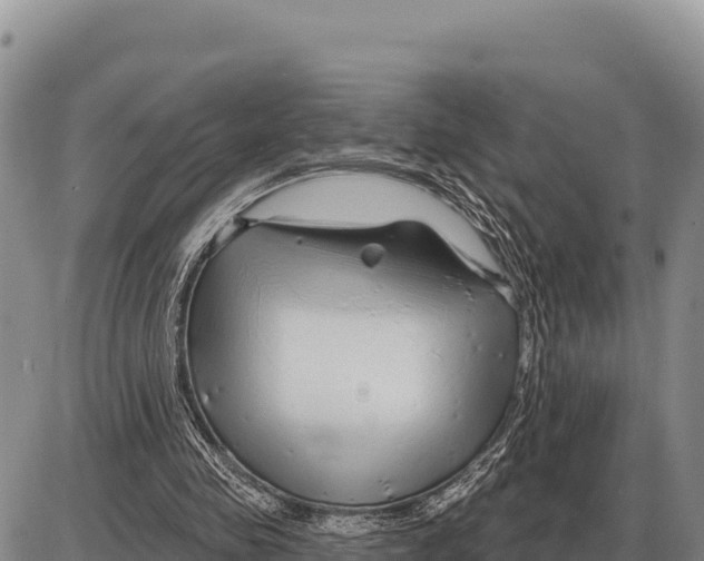 X0000086300341200704271832