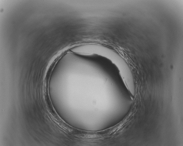 X0000086300342200704271832