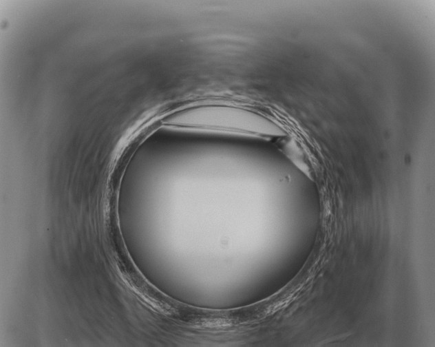 X0000086300344200704271832