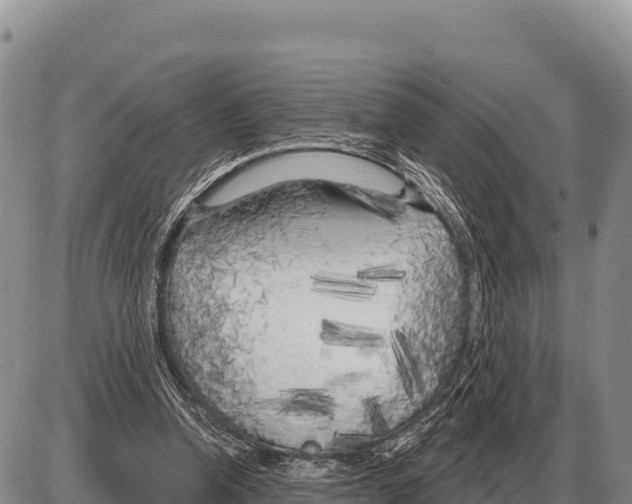 X0000086300346200704271832
