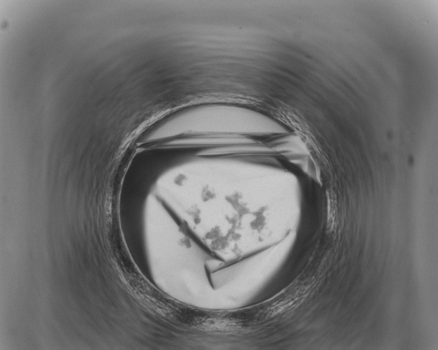 X0000086300348200704271832