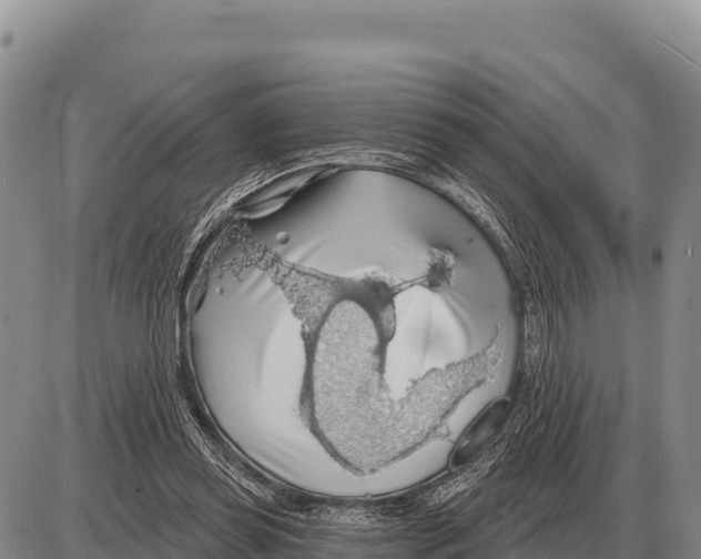 X0000086300349200704271832