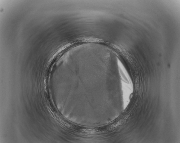 X0000086300351200704271832