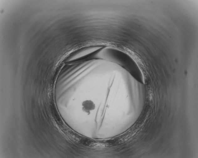 X0000086300352200704271832