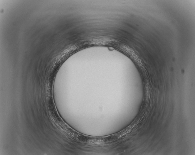 X0000086300354200704271832