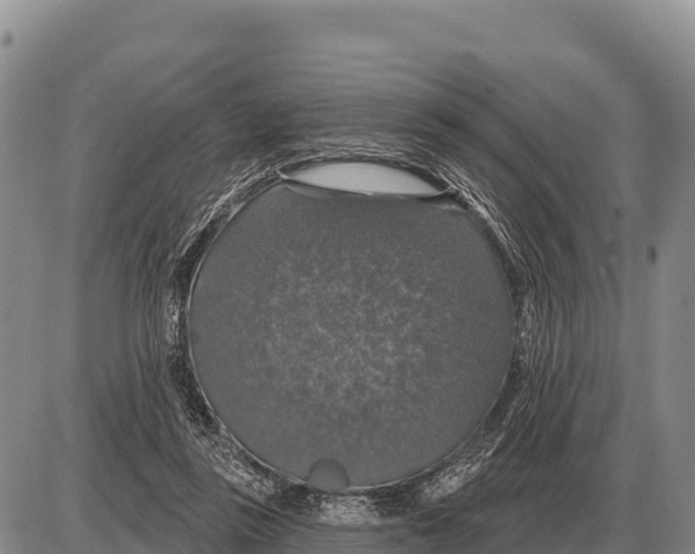 X0000086300355200704271833