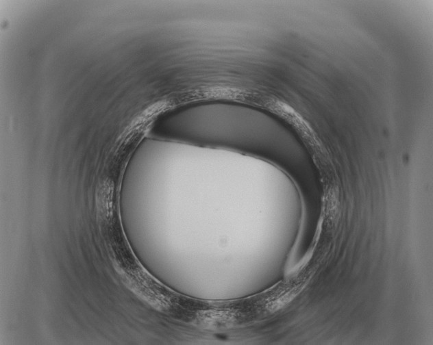 X0000086300356200704271833