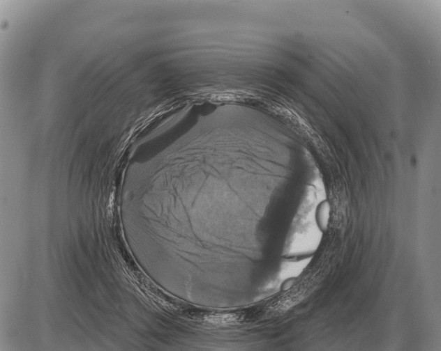 X0000086300357200704271833