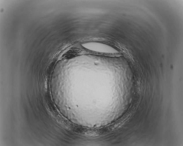 X0000086300358200704271833