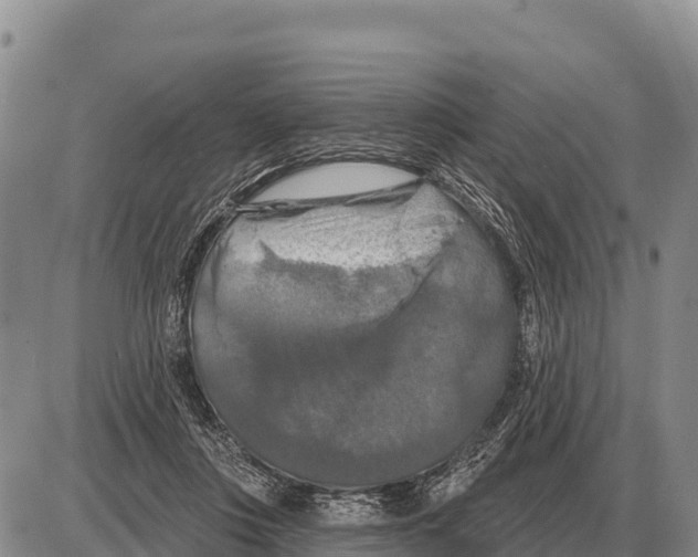 X0000086300359200704271833