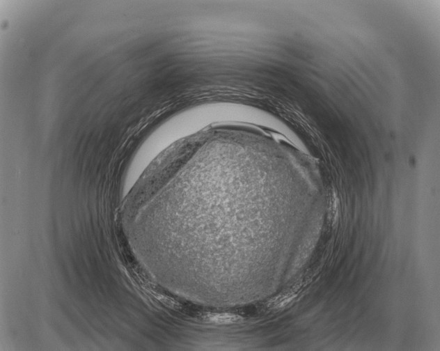 X0000086300360200704271833