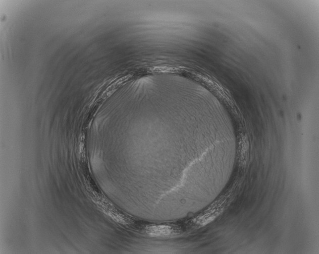 X0000086300361200704271833