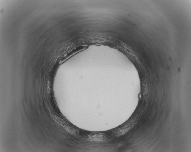 X0000086300362200704271833