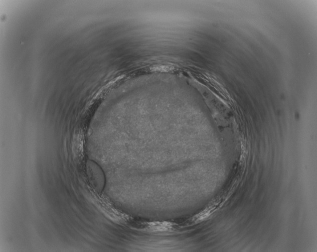 X0000086300363200704271833