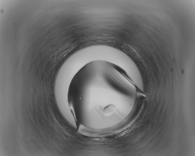 X0000086300364200704271833