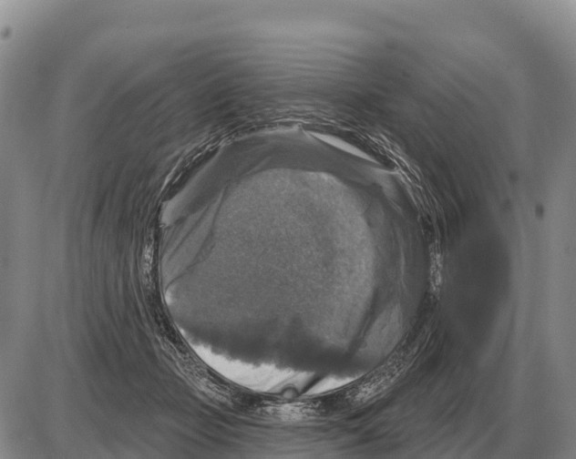 X0000086300365200704271833