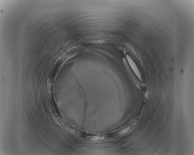 X0000086300366200704271833