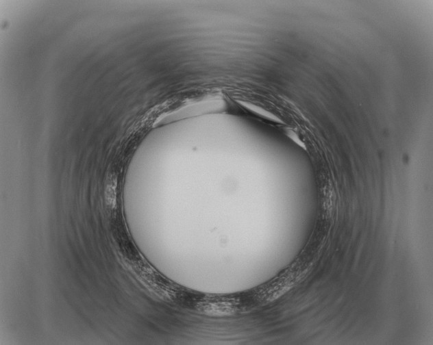 X0000086300368200704271833