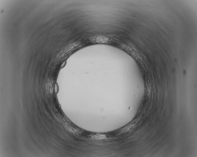 X0000086300374200704271833