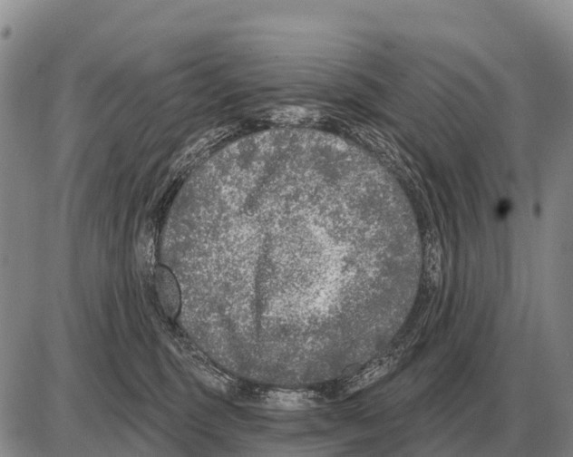 X0000086300375200704271833