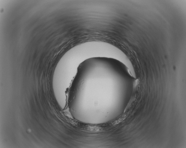 X0000086300376200704271833