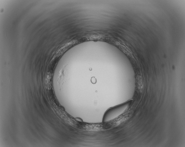 X0000086300378200704271833