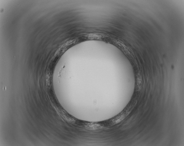 X0000086300379200704271833