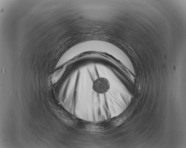 X0000086300380200704271833