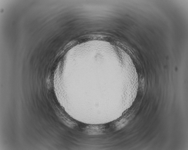 X0000086300381200704271833