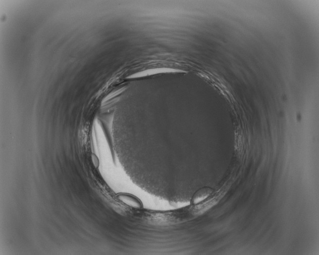 X0000086300382200704271833