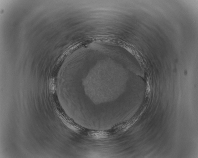 X0000086300383200704271833