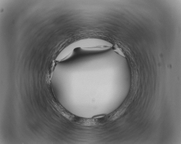 X0000086300384200704271833