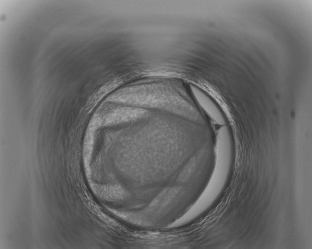 X0000086300385200704271832