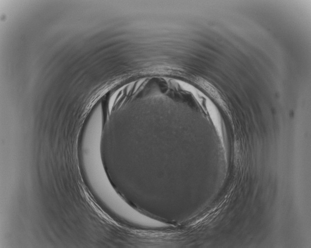 X0000086300389200704271832