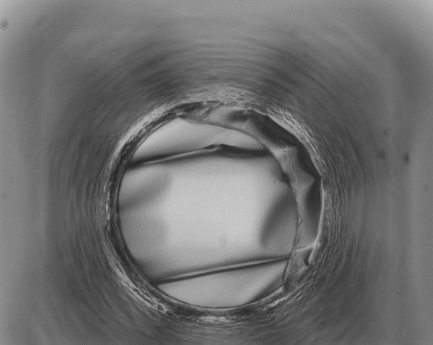 X0000086300392200704271832