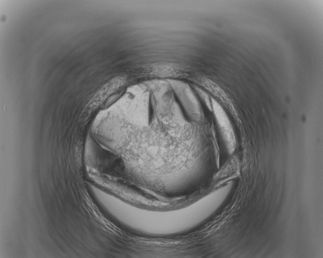 X0000086300393200704271832