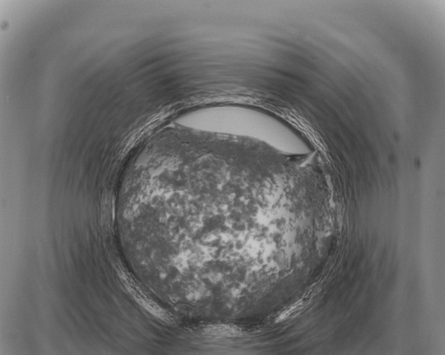 X0000086300397200704271832