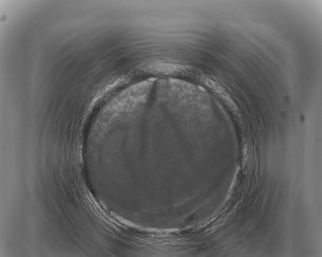 X0000086300399200704271832