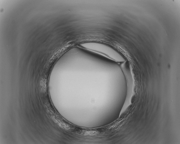 X0000086300401200704271832