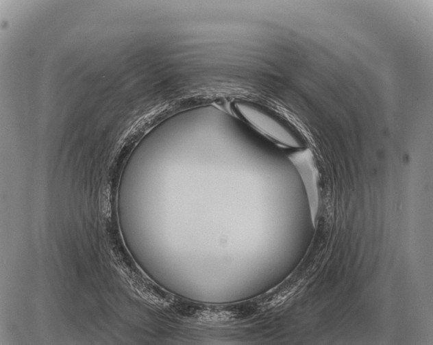 X0000086300403200704271832