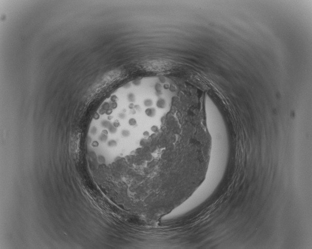 X0000086300404200704271832