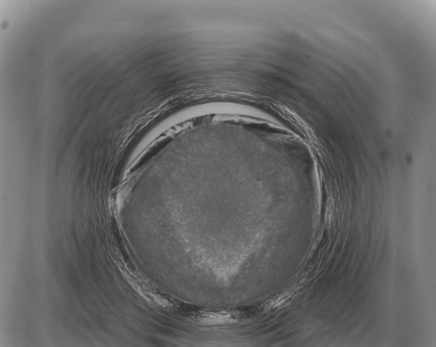 X0000086300405200704271832