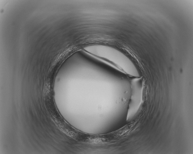 X0000086300407200704271832